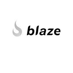 Blaze turns customer interactions into business intelligence with an AI powered dashboard.