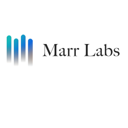 Marr Labs is making AI-voice agents that are indistinguishable from humans.